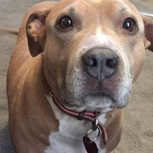 Meet your Posher, Steven